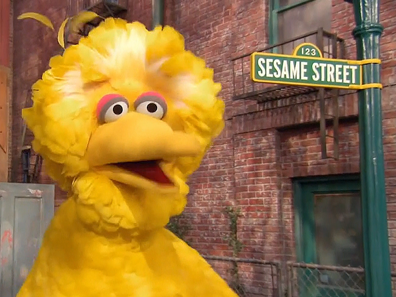 The World, Seen On Beauty and Big Bird The Amherst Student